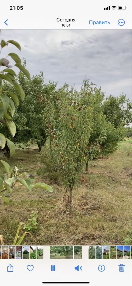 В продаже  новый дом , с. Знаменовка, Новомосковского р-н