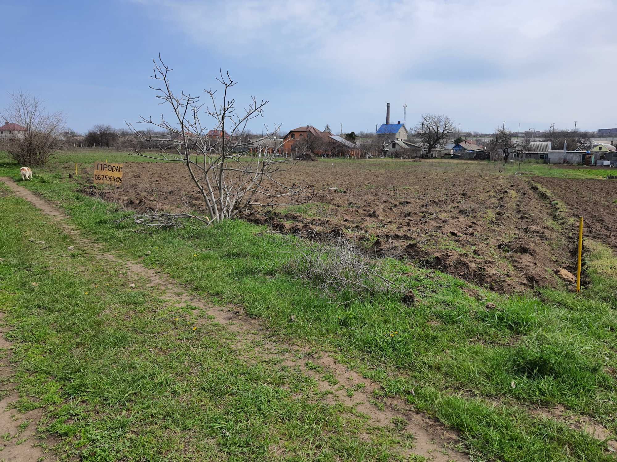 Продаётся участок в с. Бурлача Балка(ул. Виноградная)