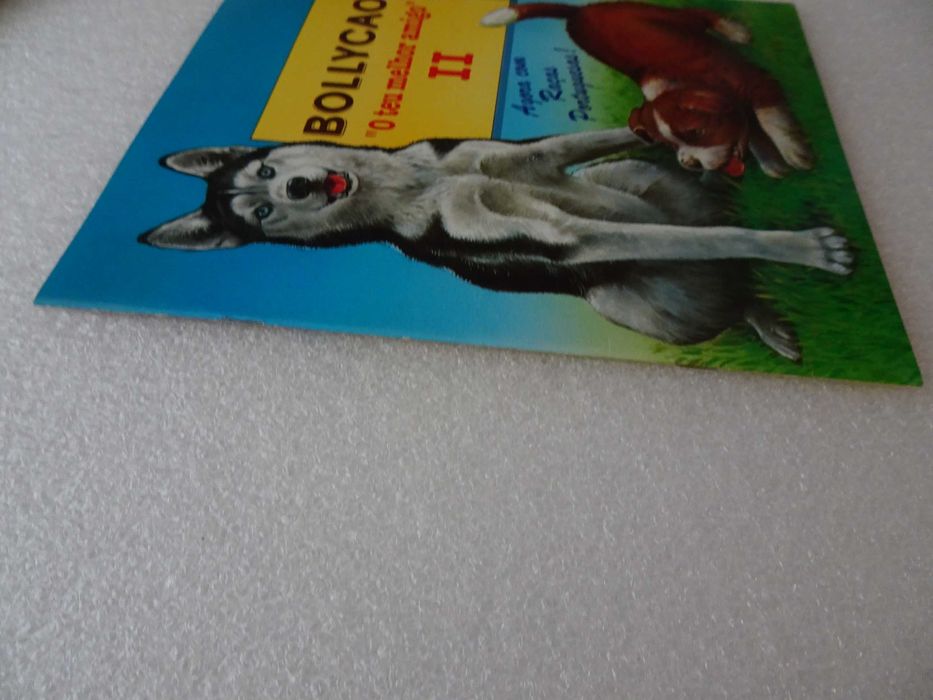 Caderneta cromos incompleta (tem 6cromos Bollycao)- O teu melhor amigo