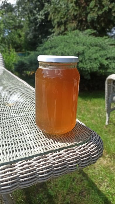 Sprzedam miód świeży wiosenny, wielokwiatowy  2025 z wlasnej p