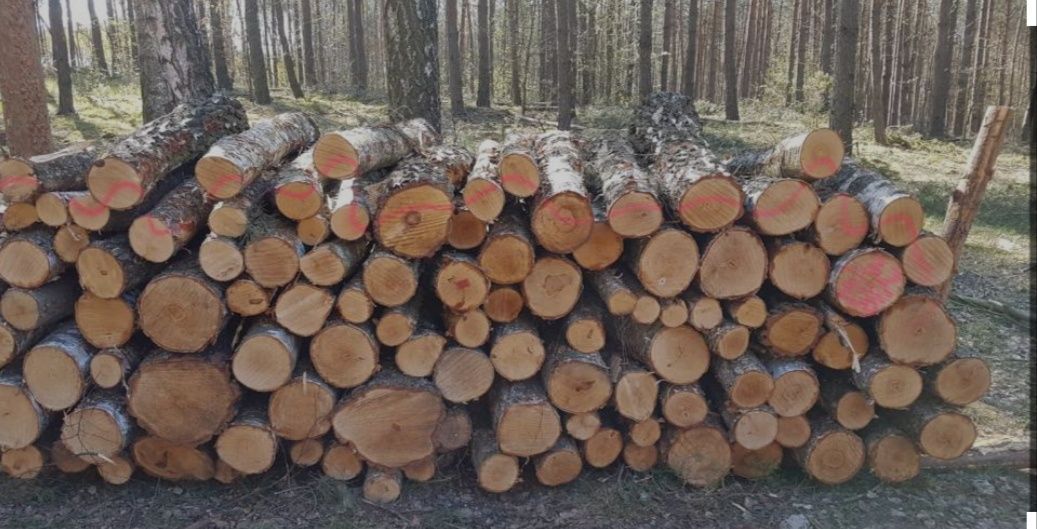Sprzedam Drewno opałowe