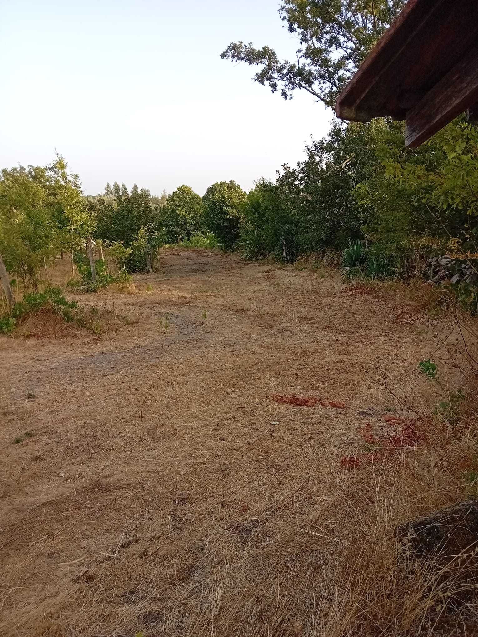 Terreno rural Boa Aldeia