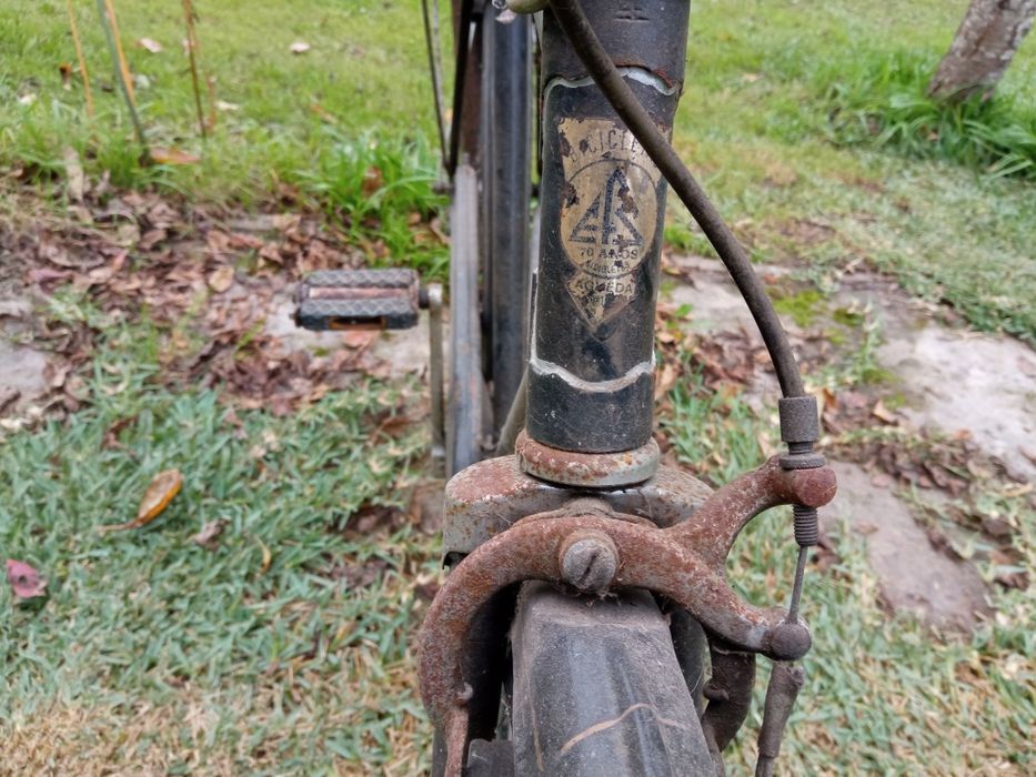 Bicicleta pasteleira