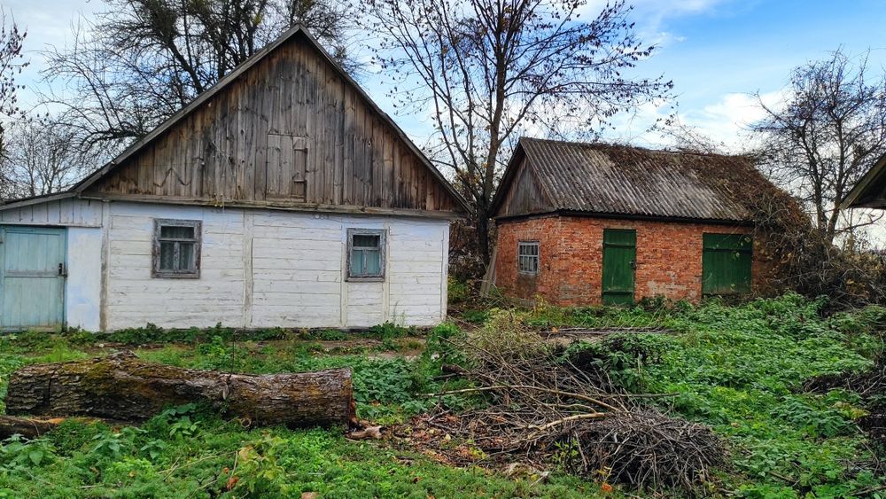 Приватний будинок Дача с. Колом'є