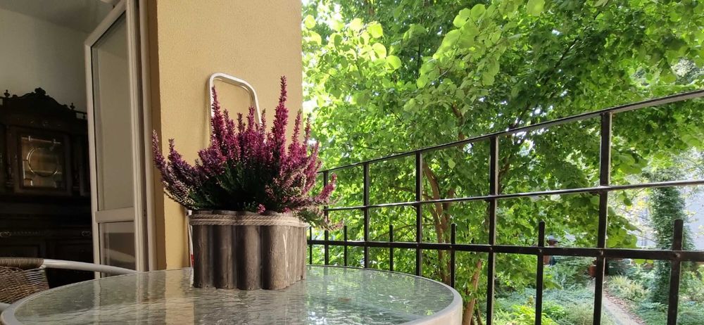 Krowodrza obok agh super 2650 z mediami! mieszkanie od zaraz