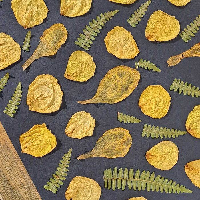 Moldura Coleção Black Vintage Jardim