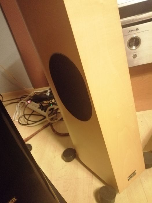 Audio Physic tempo VI