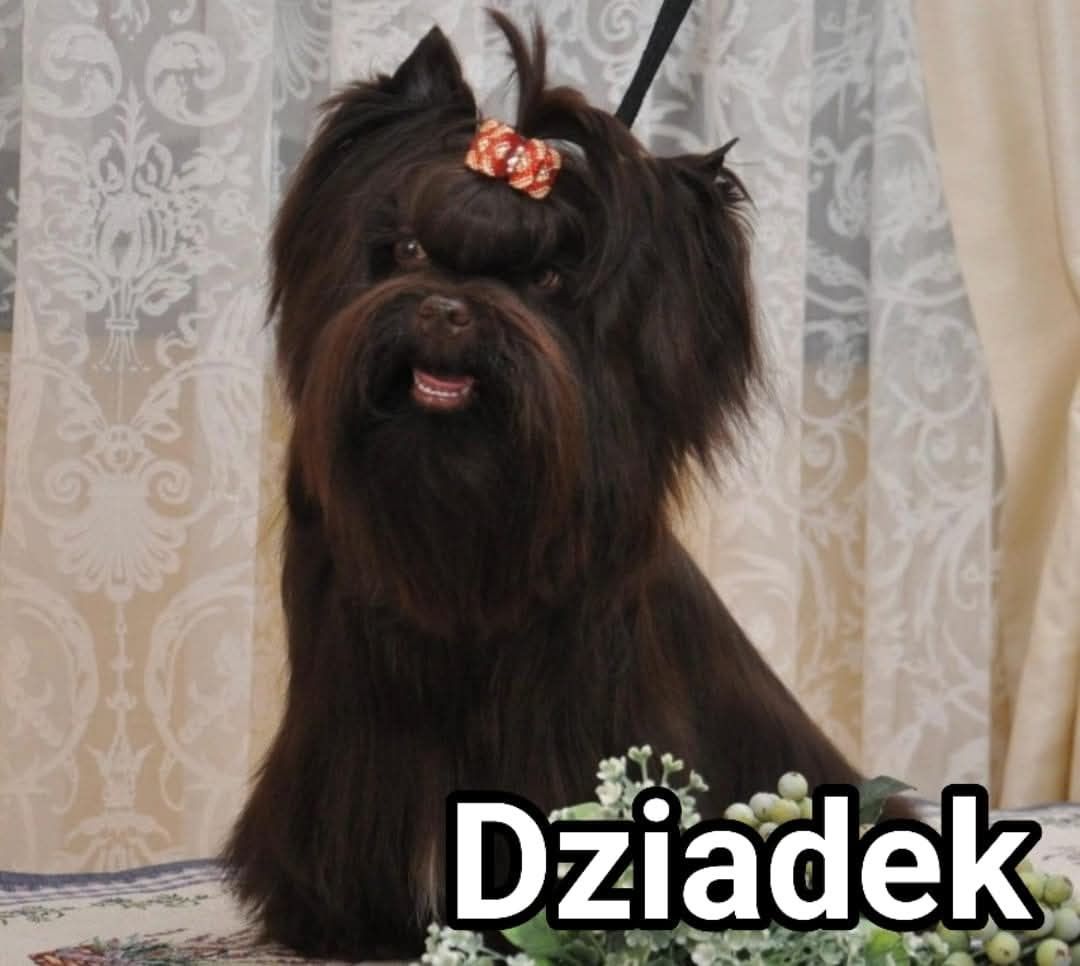 Machoniowo czarny chlopiec