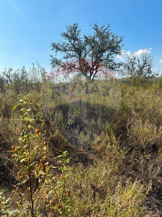 Terreno  para venda