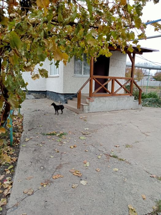 Продам будинок кіровоградська обл с луганка,літня кухня,гараж, колодяз