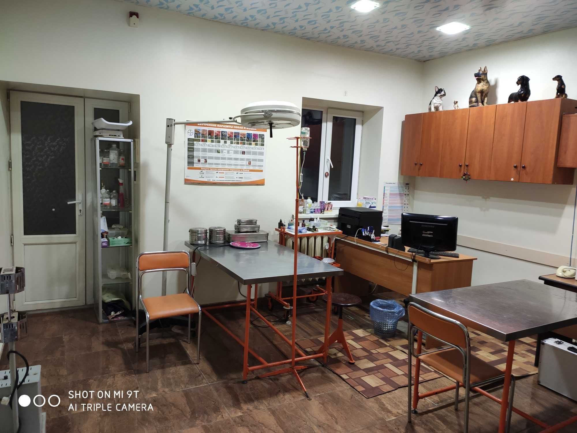 Круглосуточная Ветклиника.Центр