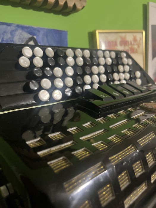 Akordeon Guzikowy 80 b