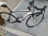 Specialized carbono