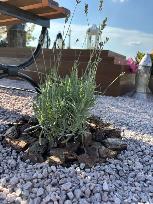 Благоустрій могил/прибирання/надмогильник/надгробок/гробівець/памятник