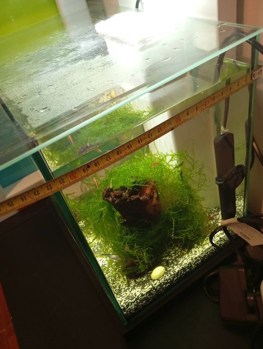 Vendo Aquários cubos