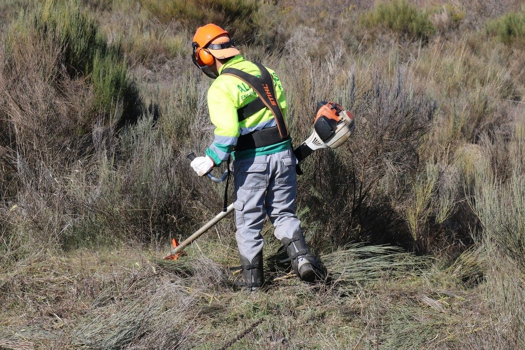 Limpeza de terrenos agriculas florestais e jardins