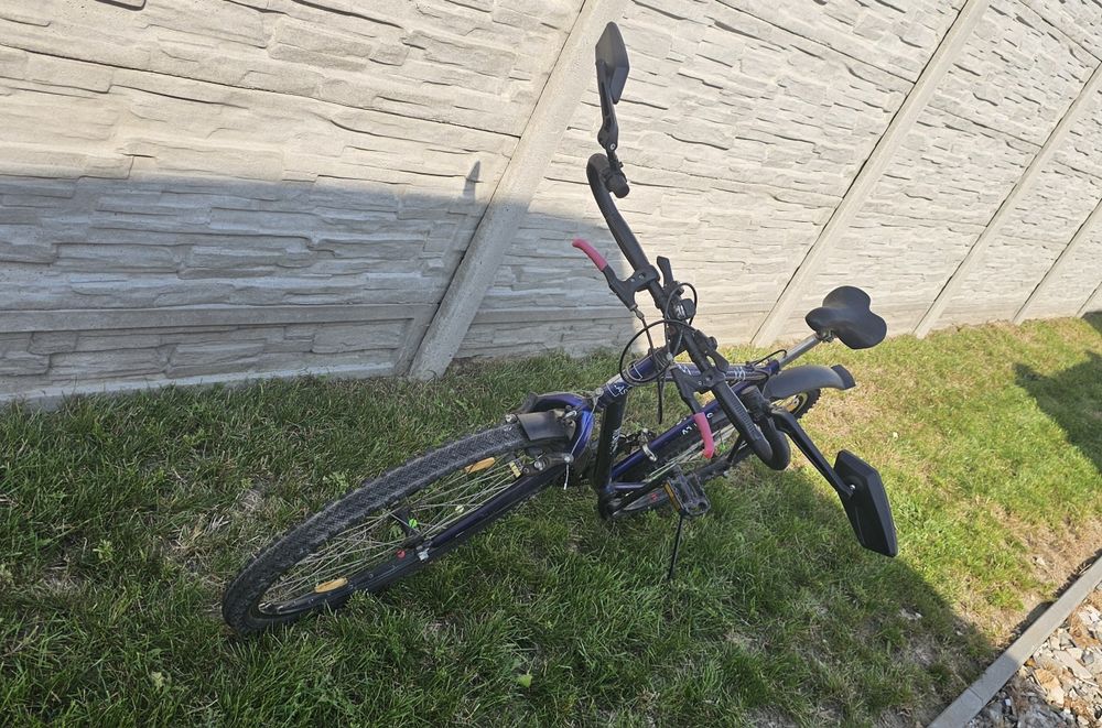 Rower Romet Atlas
