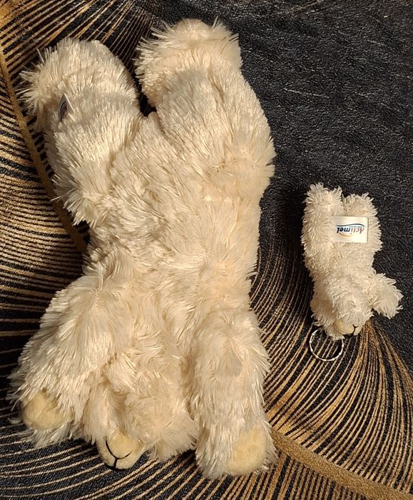 Zestaw maskotka i brelok śpiący miś polarny Actimel dla kolekcjonerów