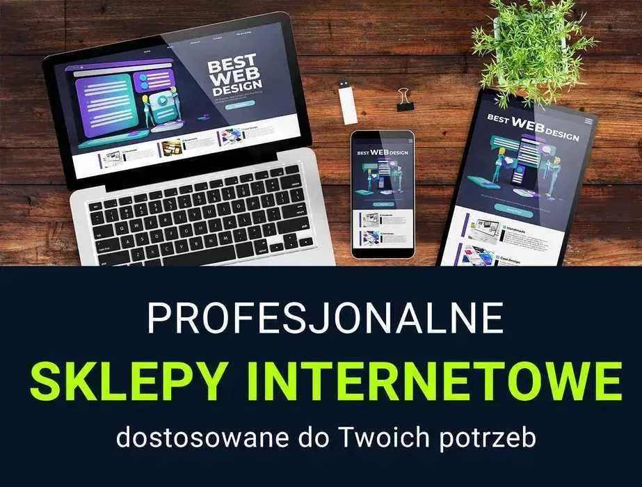 Sklepy Internetowe Shoper Baselinker Apilo Allegro TEMU FB Google Ads
