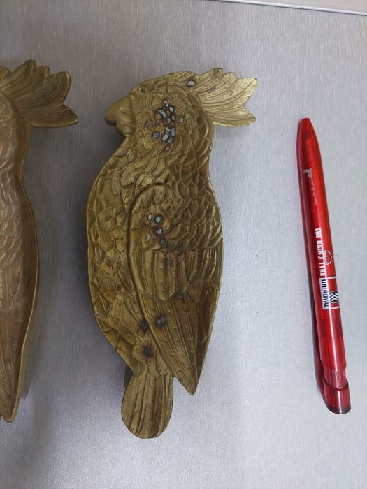 2 papagaio covilhetes