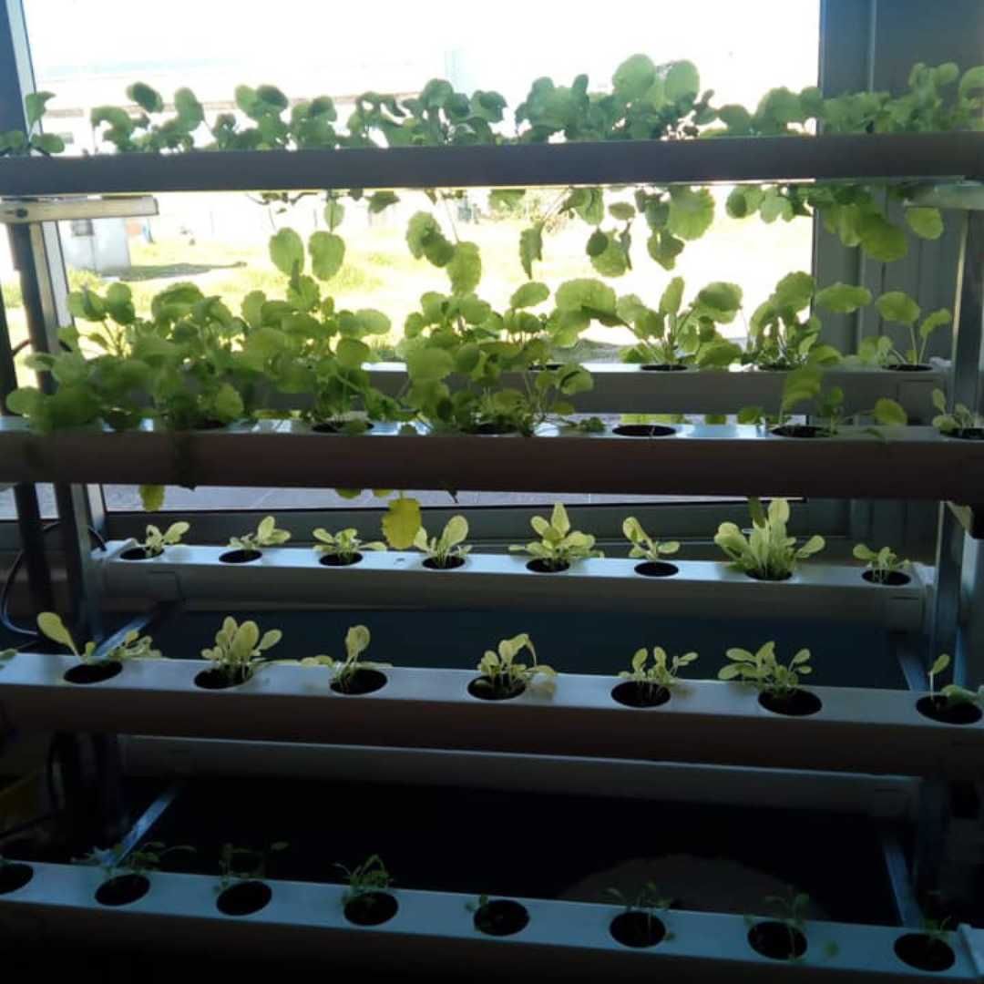 Hidroponia - Kit Vertical Amovível para 70 Plantas - Loja Oficial