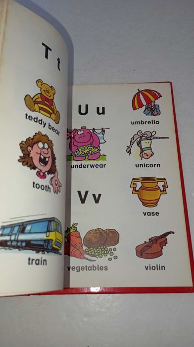 Picture Dictionary (Inglês)