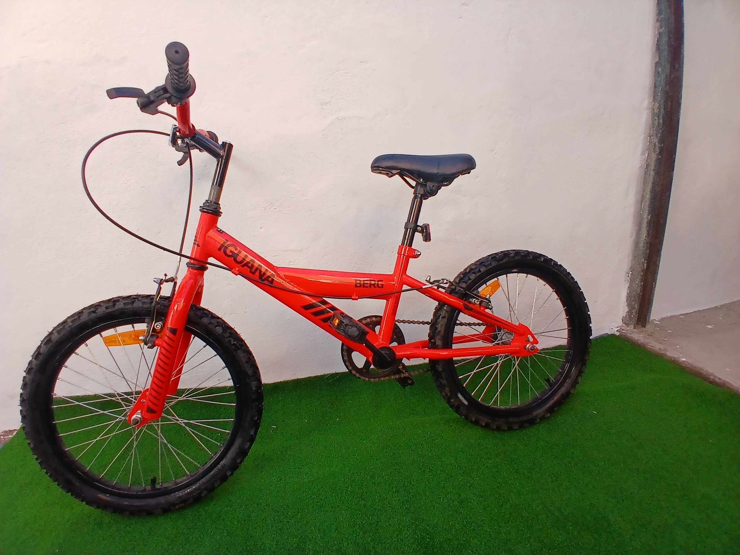 Bicicleta berg iguana roda 18