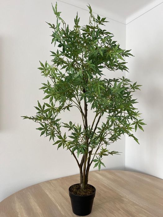 Planta plástico // Bordo Japonês