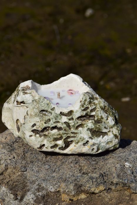 Прод Продам грецький свічка масажна
Збір цього року з 2 дерев 
І велик