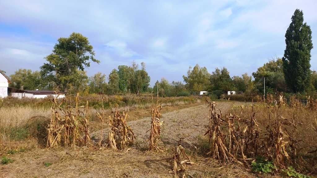 Дударків, ділянка 11 соток на житловій вулиці