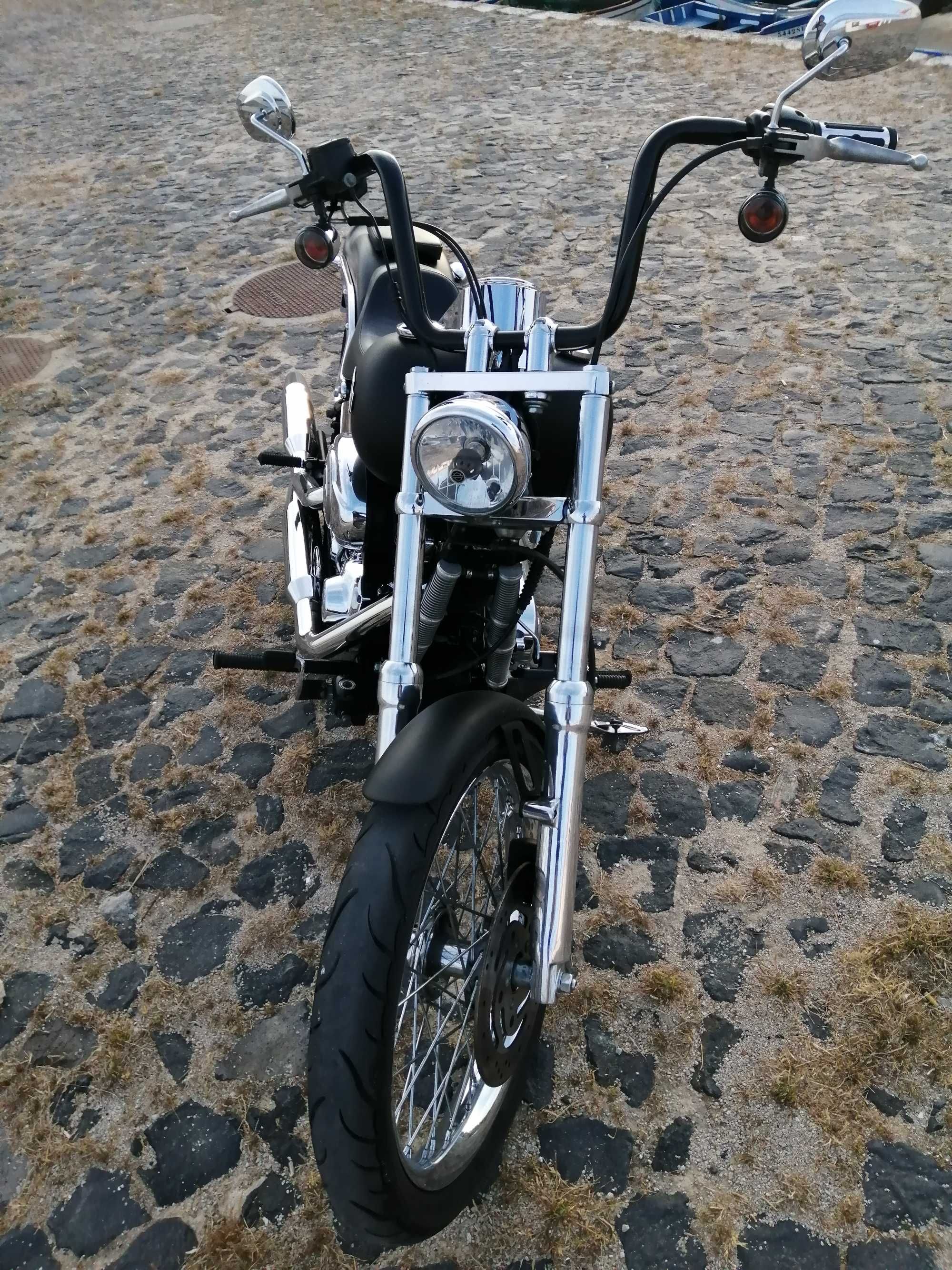Harley davidson softail custom