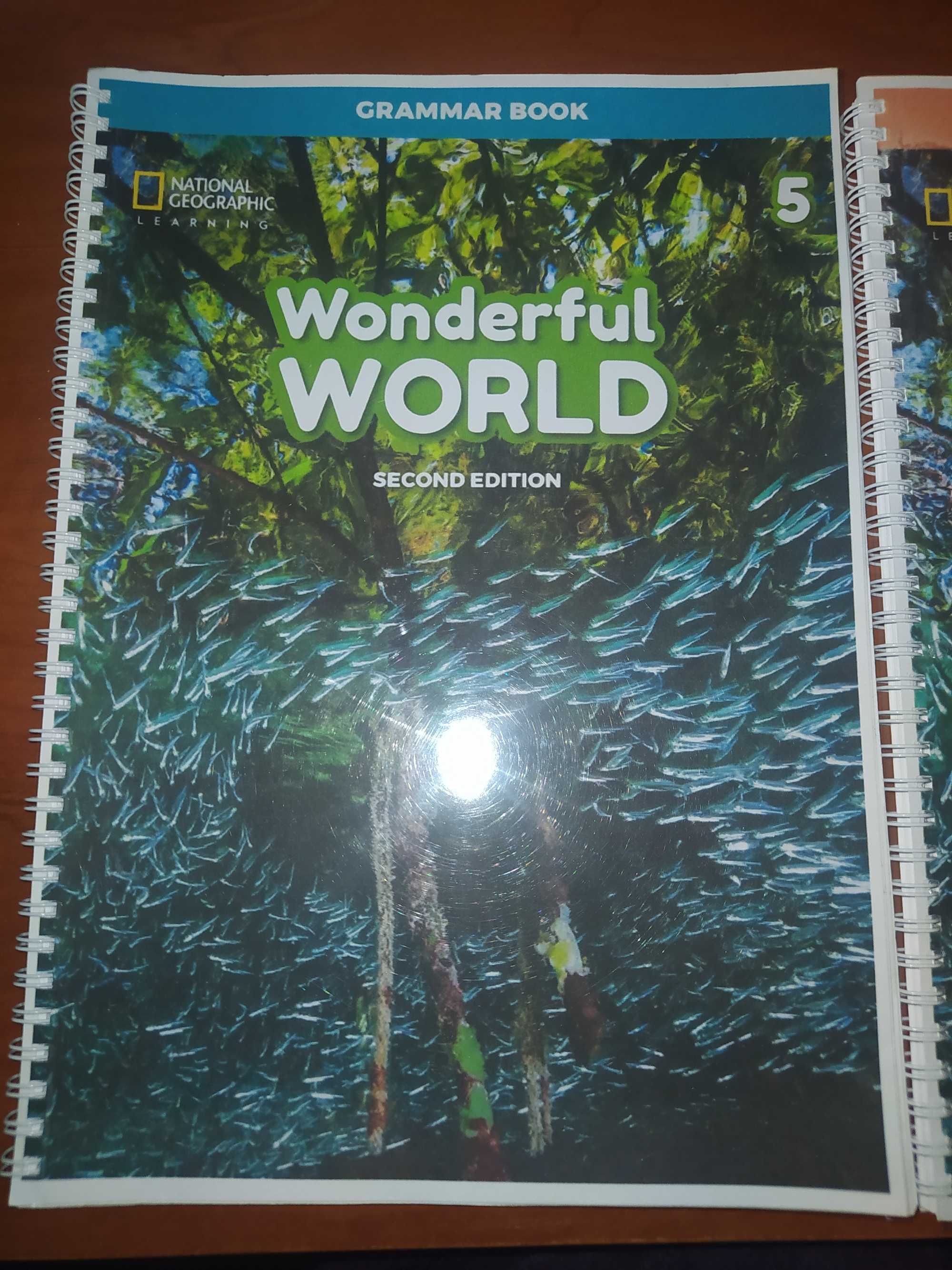 Wonderful World 5, Grammarbook