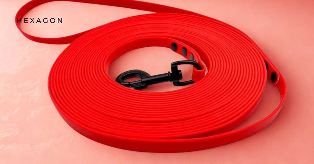 linka treningowa smycz dla psa - 5 m 13 mm