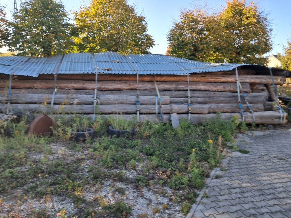 Sprzedam drzewo na dom,  sosnę ,dłużycę ,tartaczną.