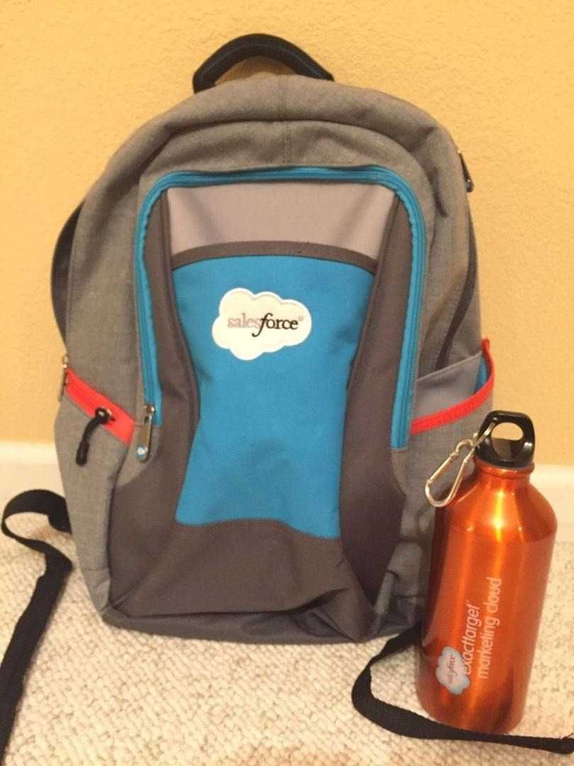 Рюкзак мужской женский Salesforce Dreamforce