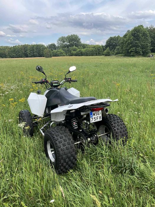 Quad egl mad max 300