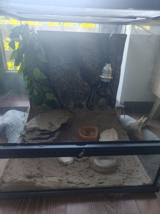 Terrarium dla gada