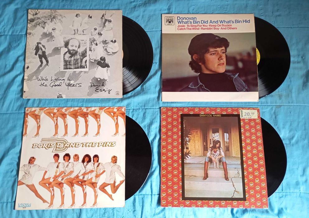 Lote de 8 Discos de Vinil (LPs)