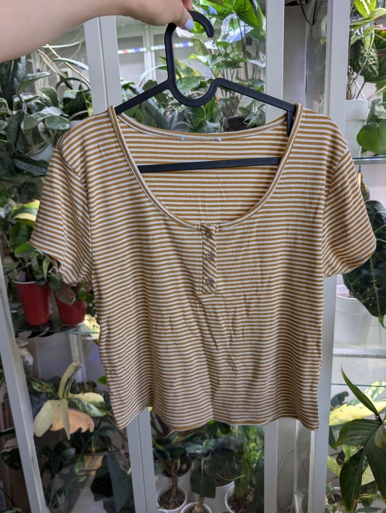 Crop top w paski masełkowy kolor