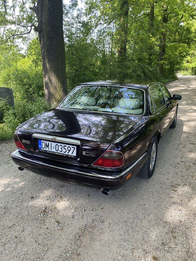 Jaguar Daimler Century 1996 1/100