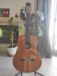 Guitarra clássica Alhambra 9P