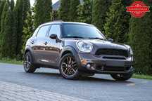 MINI Countryman ALL4 S 184KM Ksenon Parktronik Komputer Niemcy