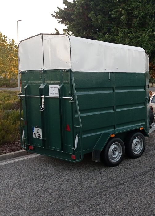 Relote de 2 cavalos