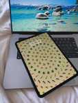 iPad Pro 11” M4, 256 GB, Wi-Fi – Czarny – Stan Idealny