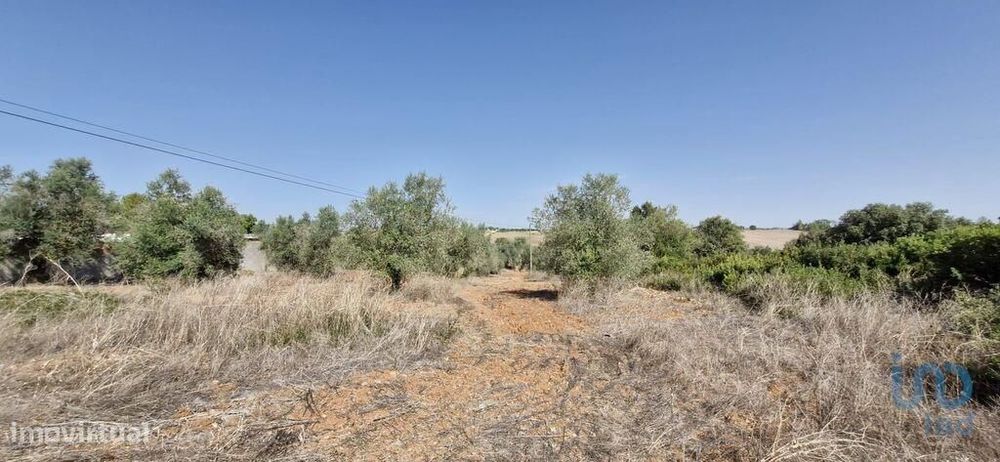 Terreno em Azambujeira e Malaqueijo de 12080,00 m2