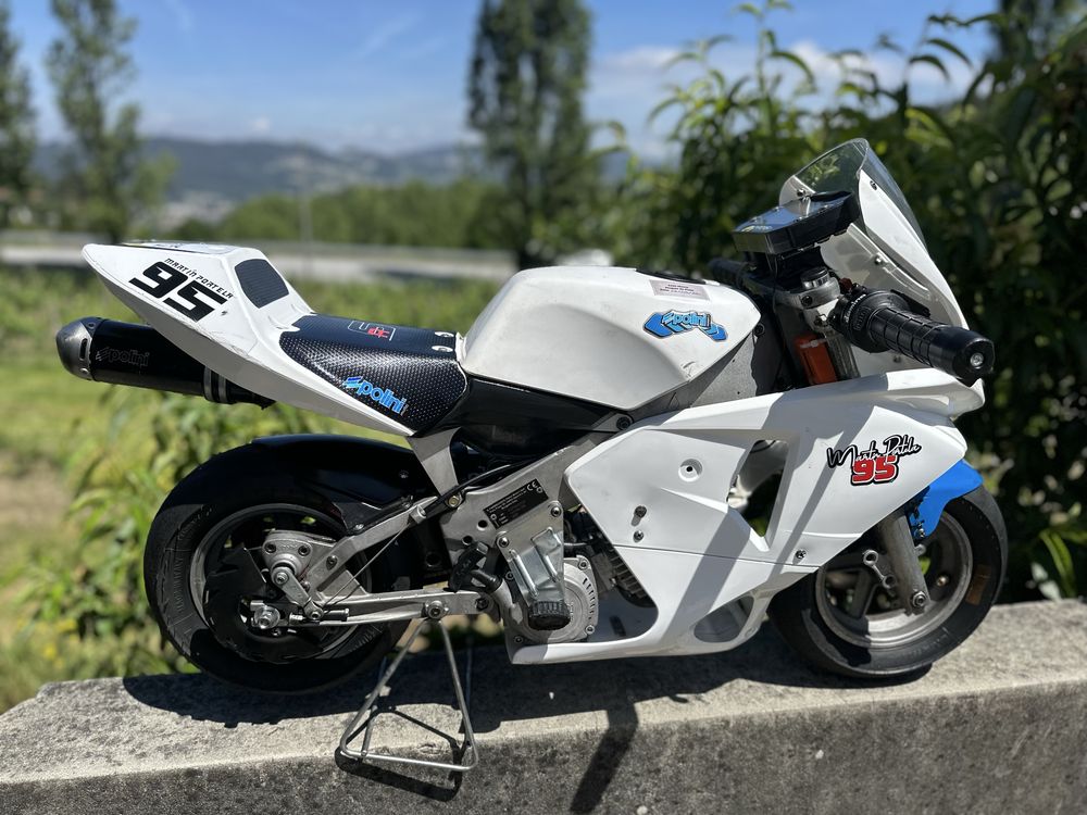 Mota Polini 910 Carena 4.2 criança