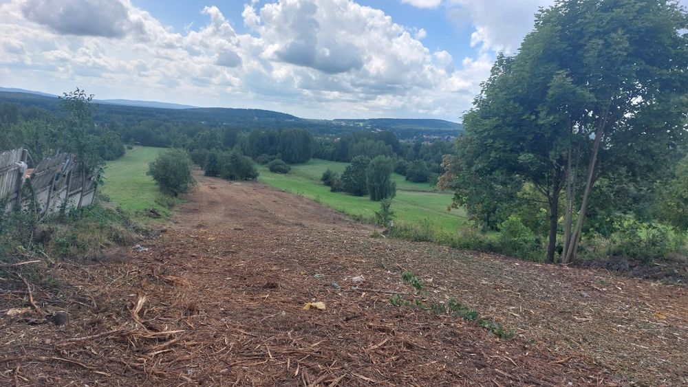 Mulczer  leśny powierzchniowy wycinka
