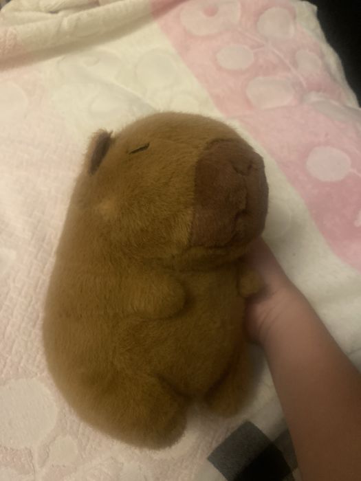 игрушка капибара