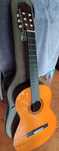 Yamaha a100+capa