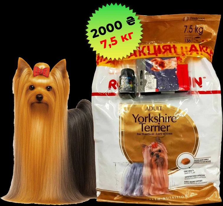 Royal Canin Акційний набір + Подарунки